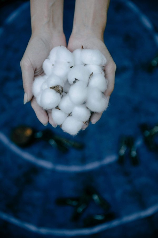 imtoken钱包官网地址 如何分析苹果期货的选择原因？苹果期货在市场中如何应用？