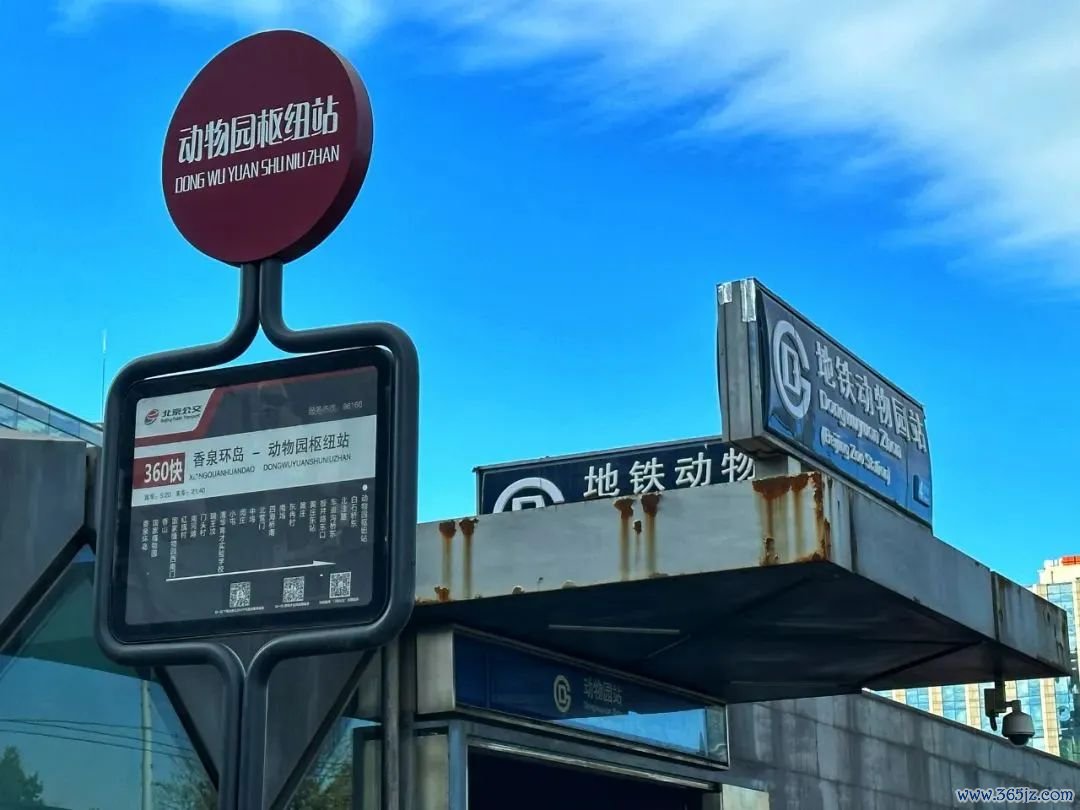 钱包的应用_钱包应用是干什么的_imToken钱包的多样化功能应用，教你如何利用安卓版本轻松实现资产增值！